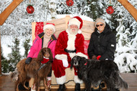 Santa Number 36