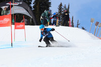 Bib 217 Saturday