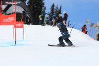 Bib 221 Saturday