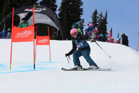 Bib 243 Saturday