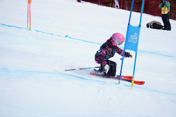 HINGF2026Saturday Bib 20-9