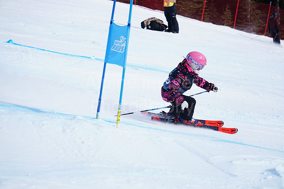 HINGF2026Saturday Bib 20-10