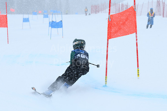 NGF Friday Glalom Bibs 181-200-31