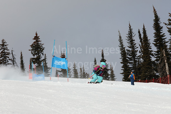 NGF Saturday Glalom Bibs 1-20-153
