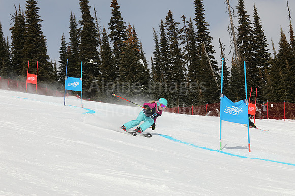 NGF Saturday Glalom Bibs 1-20-158
