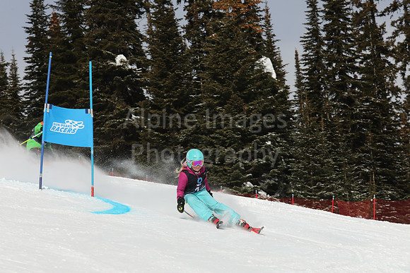 NGF Saturday Glalom Bibs 1-20-155