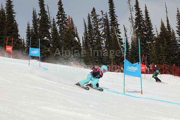 NGF Saturday Glalom Bibs 1-20-159