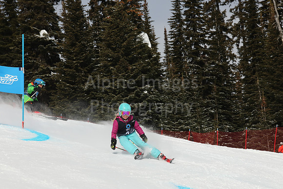 NGF Saturday Glalom Bibs 1-20-156
