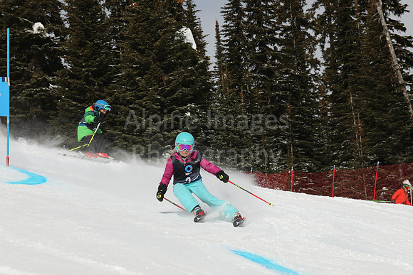 NGF Saturday Glalom Bibs 1-20-157