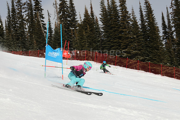 NGF Saturday Glalom Bibs 1-20-161