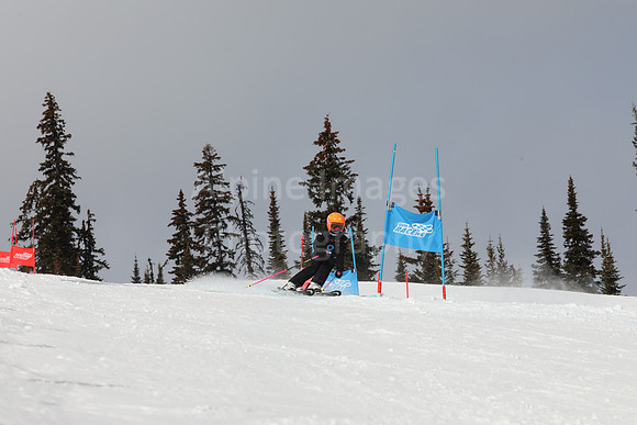 NGF Saturday Glalom Bibs 1-20-165