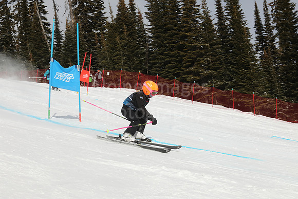 NGF Saturday Glalom Bibs 1-20-177