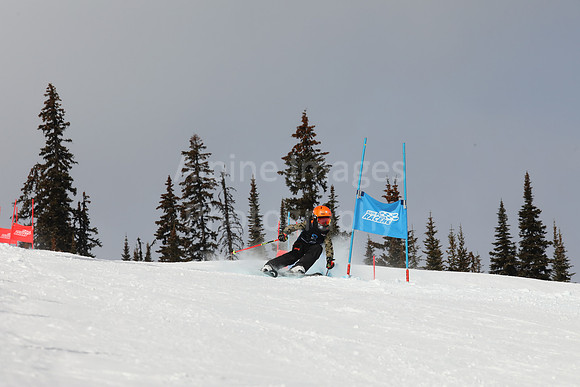 NGF Saturday Glalom Bibs 1-20-179