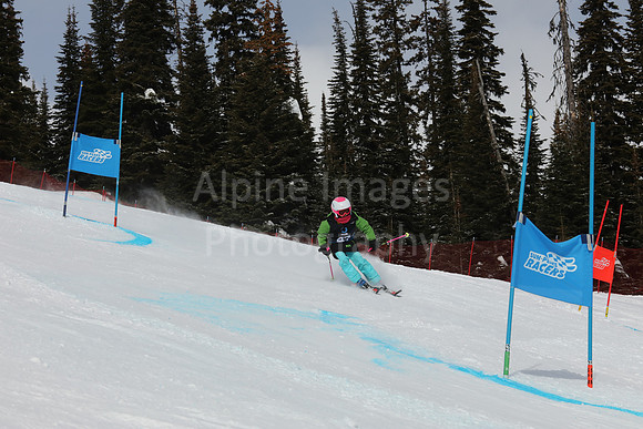 NGF Saturday Glalom Bibs 41-60-153