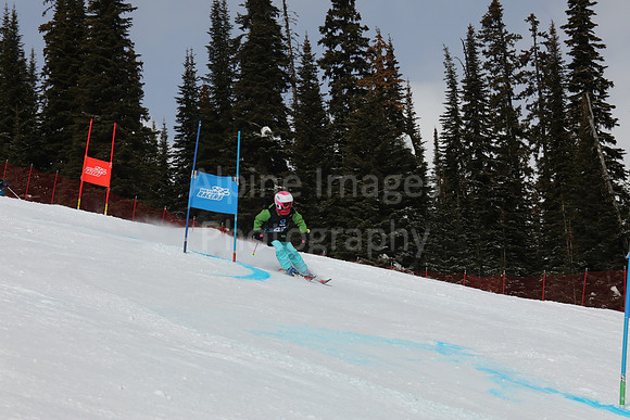 NGF Saturday Glalom Bibs 41-60-150