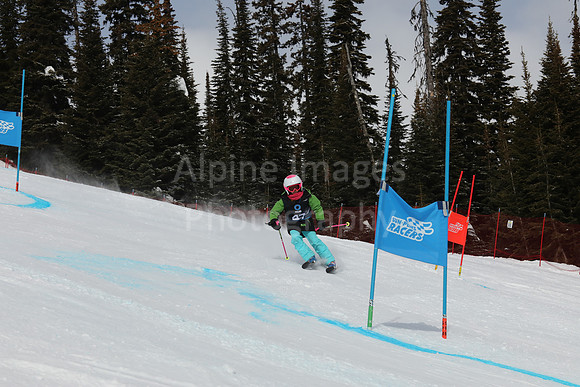 NGF Saturday Glalom Bibs 41-60-155
