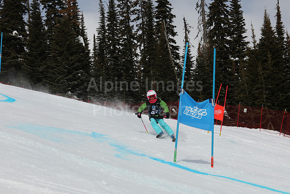 NGF Saturday Glalom Bibs 41-60-156