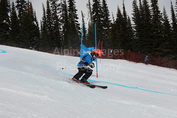 NGF Saturday Glalom Bibs 61-80-188