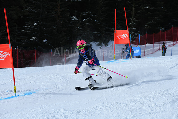 NGF Saturday Glalom Bibs 81-100