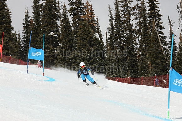 NGF Saturday Glalom Bibs 141-160-218