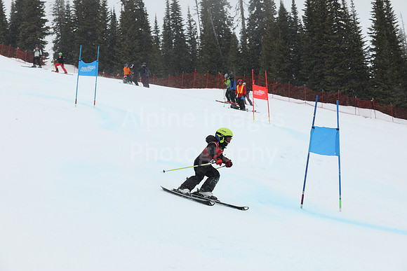 NGF 2022 Saturday Glalom Bibs 41-60-186