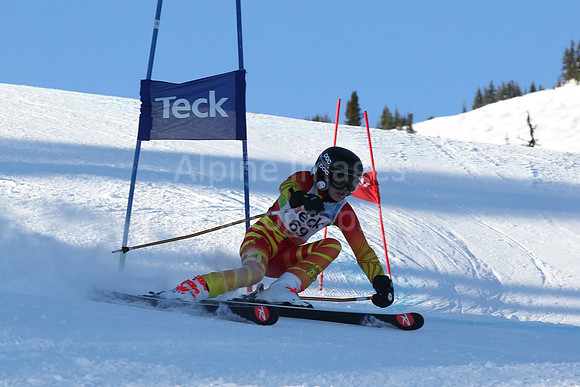 TeckU16BoyBibs 60+-103