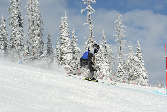 bibs 1-19-12