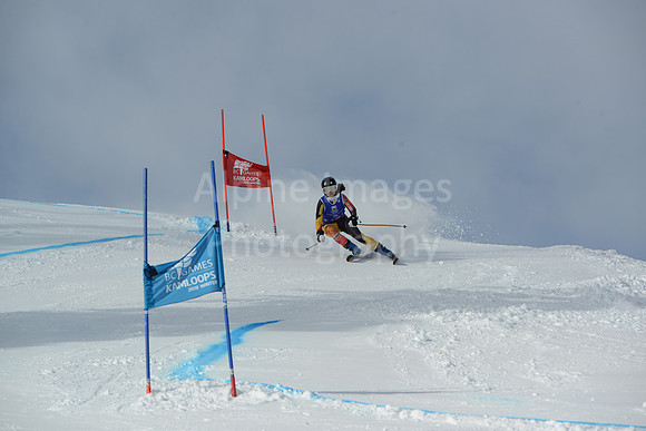 bibs 1-19-26