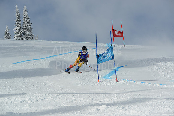 bibs 1-19-29