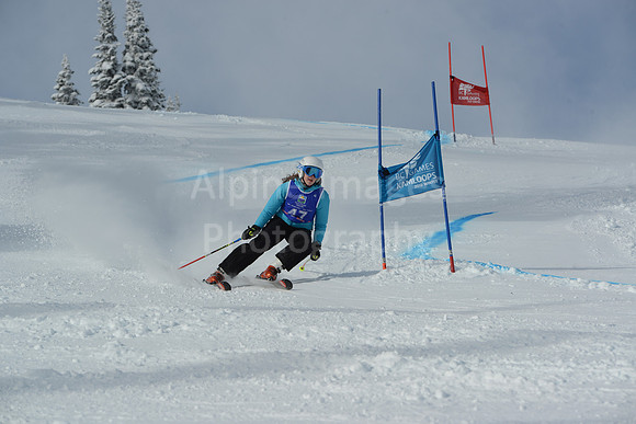 bibs 1-19-41