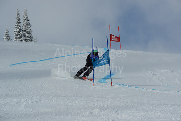 bibs 1-19-48