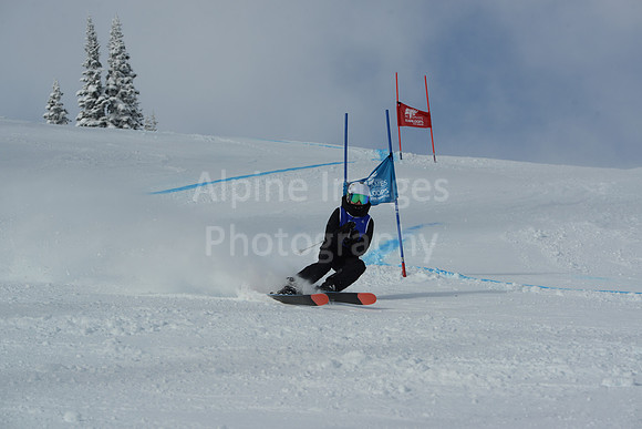 bibs 1-19-50