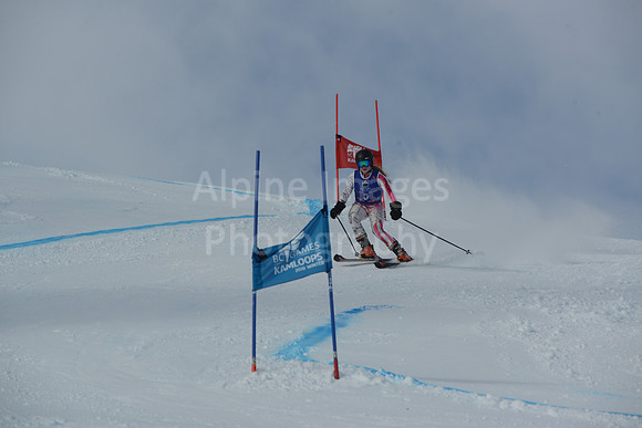 bibs 1-19-58
