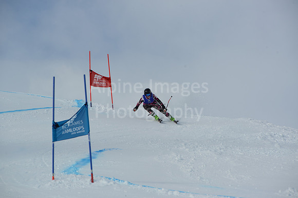 bibs 1-19-81