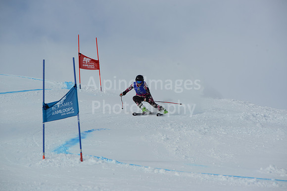 bibs 1-19-83