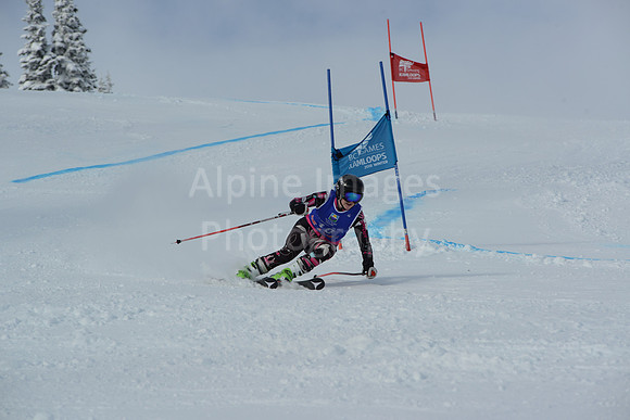 bibs 1-19-86