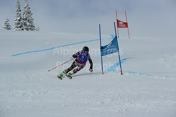 bibs 1-19-85