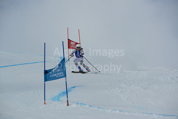 bibs 1-19-110