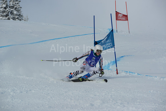 bibs 1-19-113