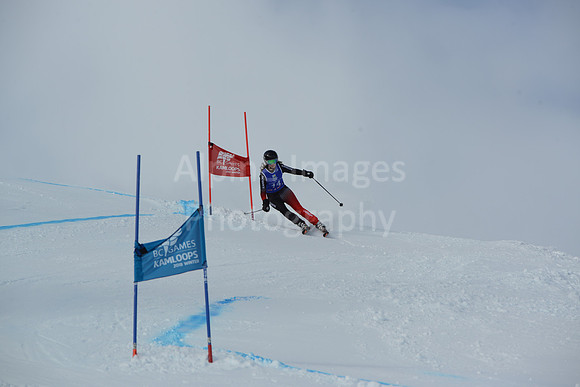 bibs 1-19-116