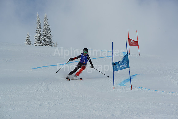 bibs 1-19-119