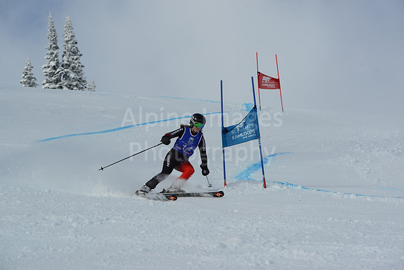 bibs 1-19-121