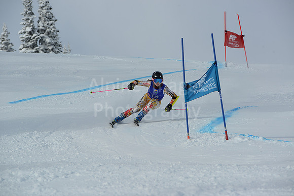 bibs 1-19-123