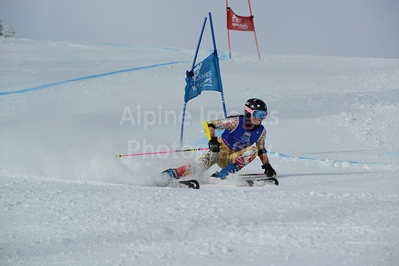 bibs 1-19-124