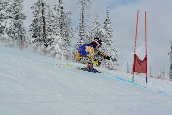 bibs 1-19-125