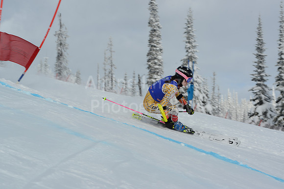 bibs 1-19-126