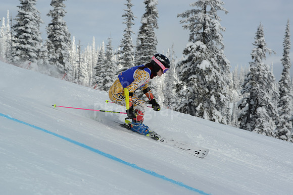 bibs 1-19-127