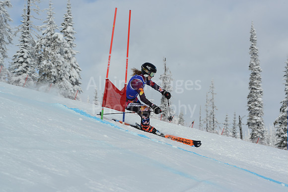 bibs 1-19-135