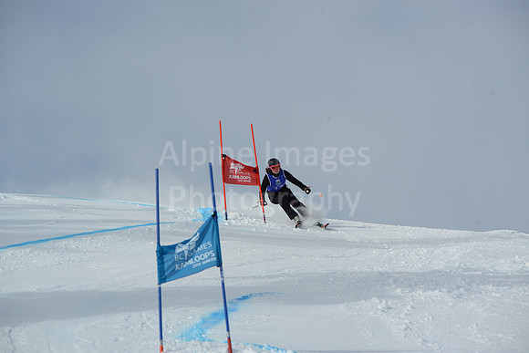 bibs 1-19-136