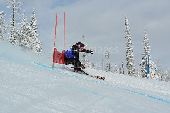 bibs 1-19-144